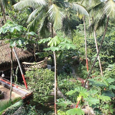 Dominican Tree House Village Santa Barbara De Samana Dış mekan fotoğraf