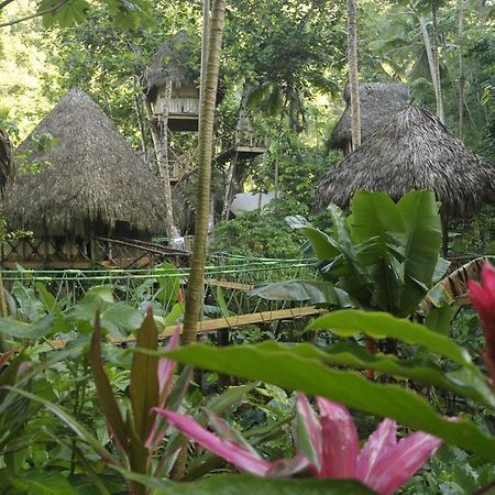Dominican Tree House Village Santa Barbara De Samana Dış mekan fotoğraf