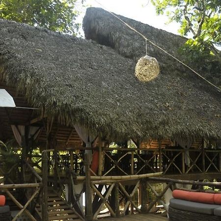 Dominican Tree House Village Santa Barbara De Samana Dış mekan fotoğraf