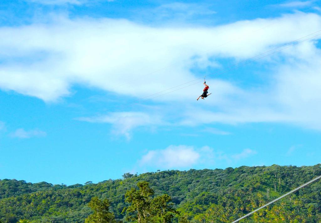 Dominican Tree House Village Santa Barbara De Samana Dış mekan fotoğraf