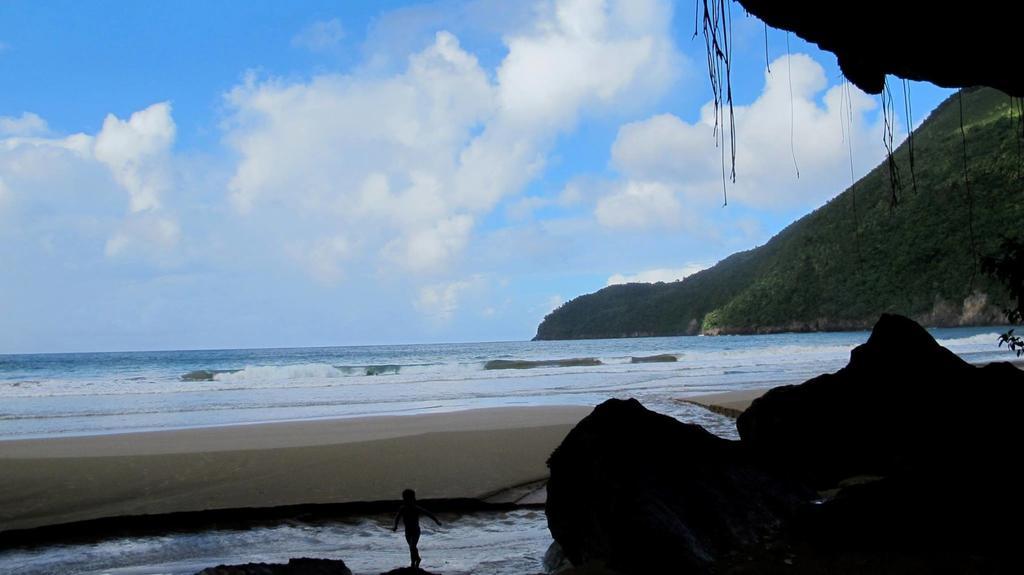 Dominican Tree House Village Santa Barbara De Samana Dış mekan fotoğraf
