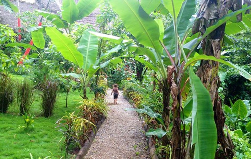 Dominican Tree House Village Santa Barbara De Samana Dış mekan fotoğraf