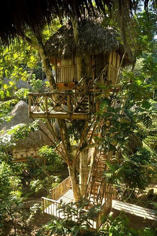 Dominican Tree House Village Santa Barbara De Samana Dış mekan fotoğraf