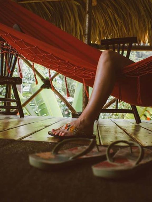 Dominican Tree House Village Santa Barbara De Samana Dış mekan fotoğraf