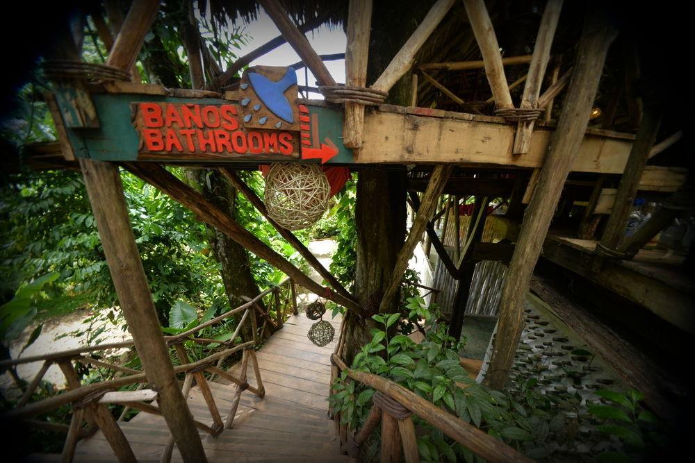 Dominican Tree House Village Santa Barbara De Samana Dış mekan fotoğraf
