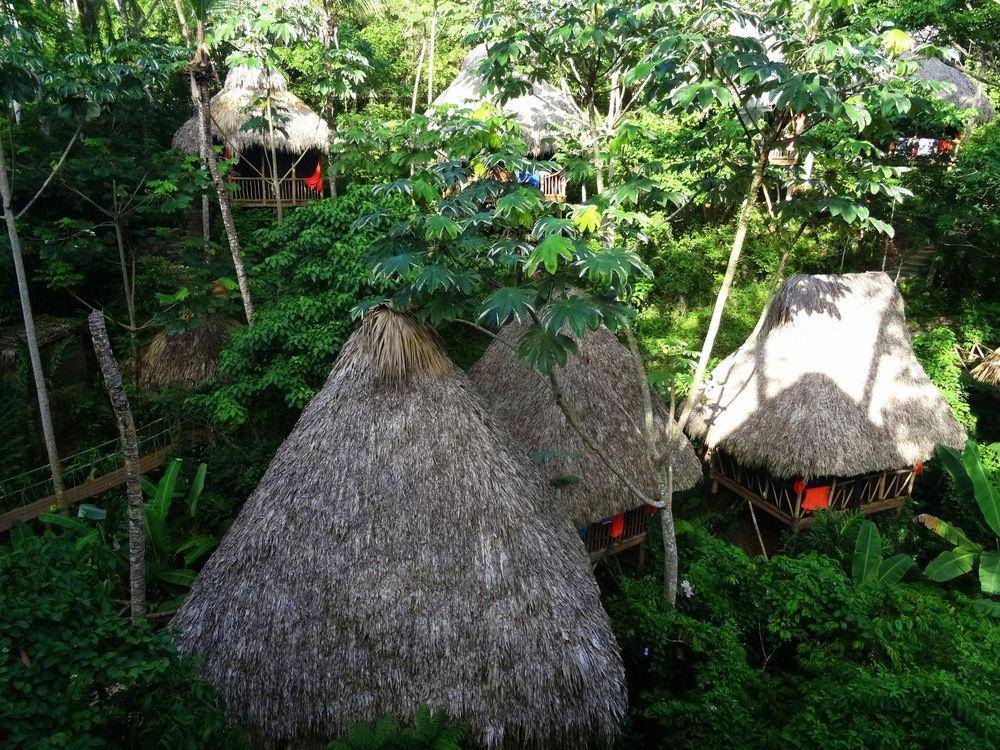 Dominican Tree House Village Santa Barbara De Samana Dış mekan fotoğraf