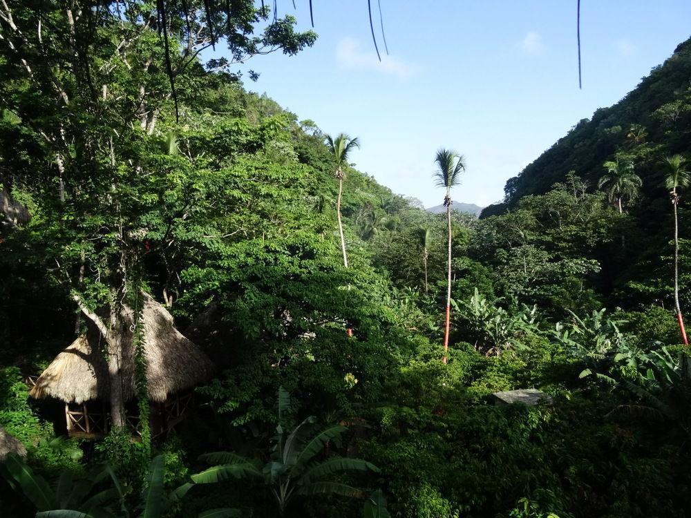 Dominican Tree House Village Santa Barbara De Samana Dış mekan fotoğraf