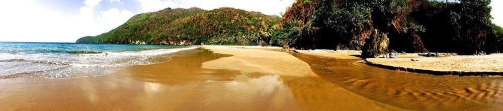 Dominican Tree House Village Santa Barbara De Samana Dış mekan fotoğraf